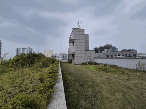 물건 사진 75