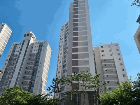 물건 사진 13