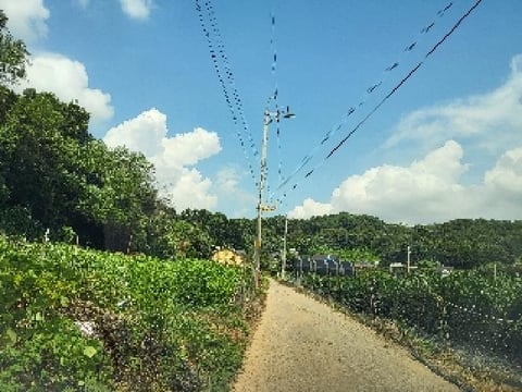 물건 사진 2