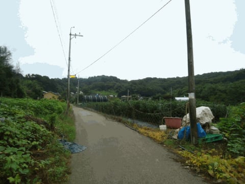 물건 사진 7