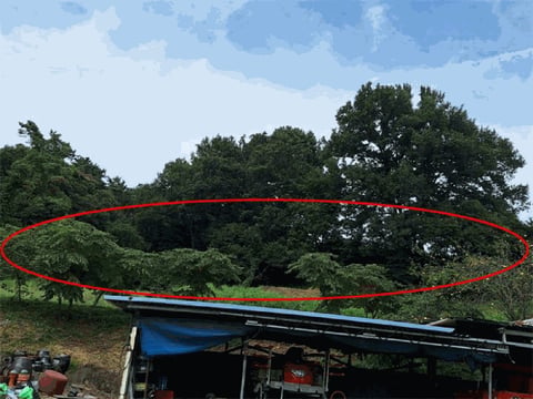 물건 사진 6