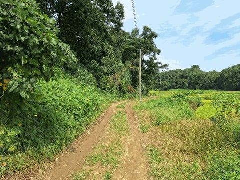 물건 사진 8