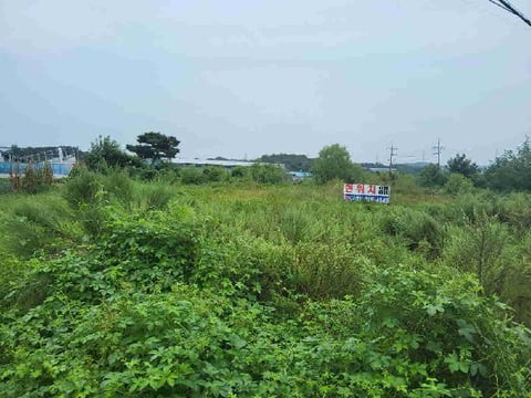 물건 사진 1