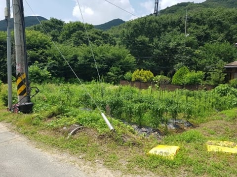 물건 사진 2