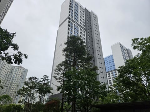 물건 사진 7