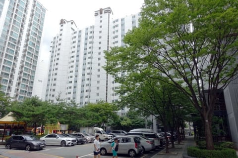물건 사진 5