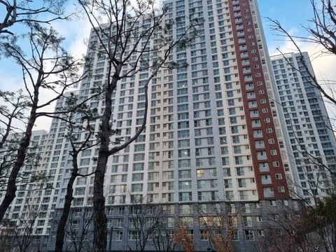 물건 사진 10