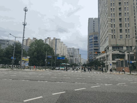 물건 사진 13