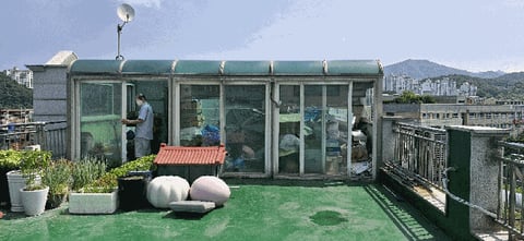 물건 사진 19