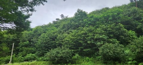 물건 사진 13