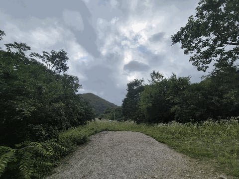 물건 사진 18