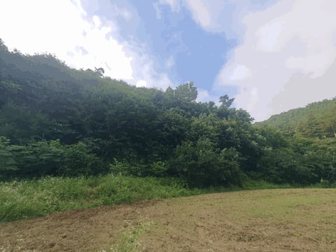 물건 사진 20