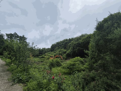 물건 사진 21