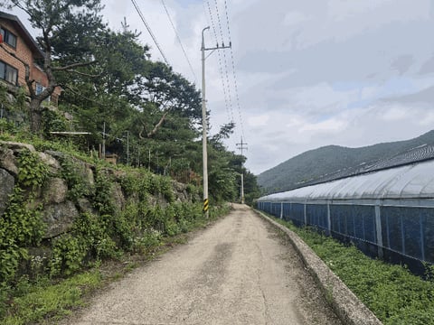물건 사진 22