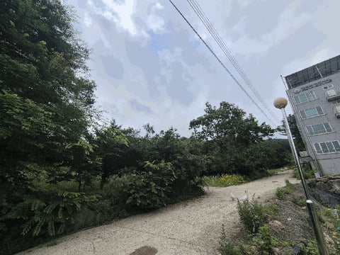 물건 사진 25