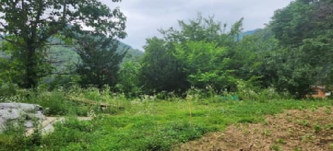 물건 사진 5