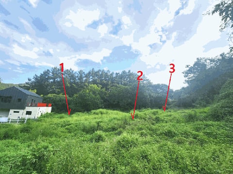 물건 사진 5