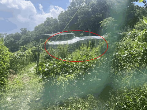 물건 사진 8