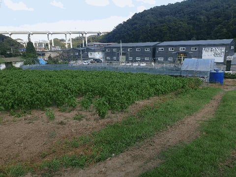 물건 사진 49