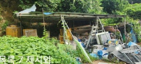 물건 사진 17