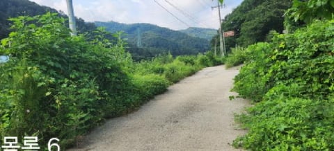 물건 사진 10