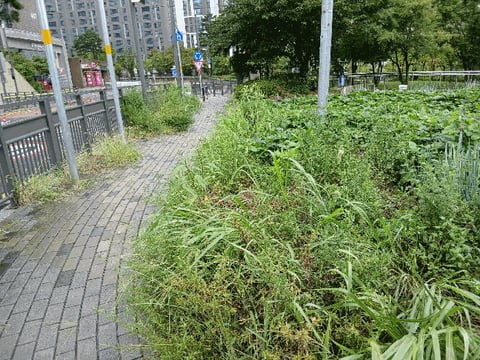 물건 사진 7