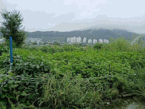 물건 사진 8