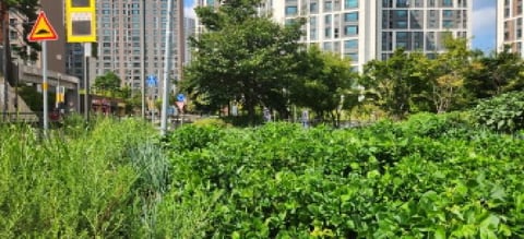 물건 사진 3