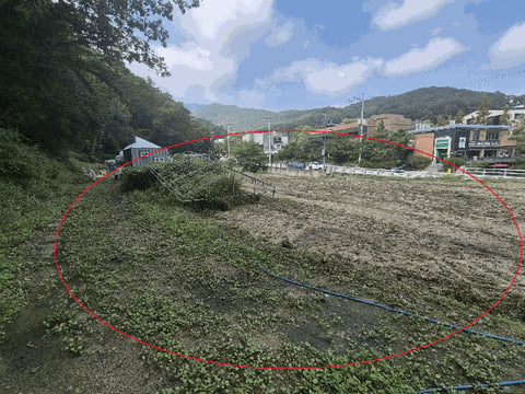 물건 사진 12