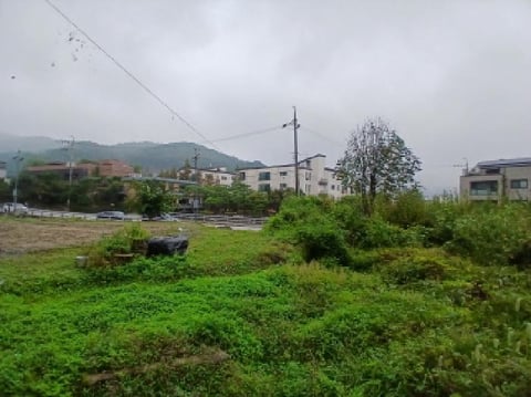 물건 사진 3