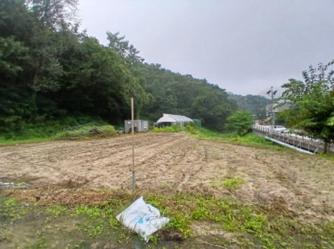 물건 사진 6