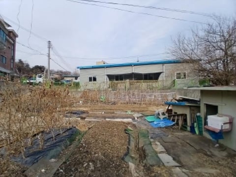 물건 사진 2