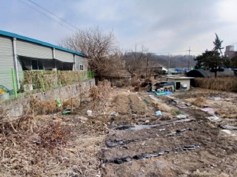 물건 사진 3