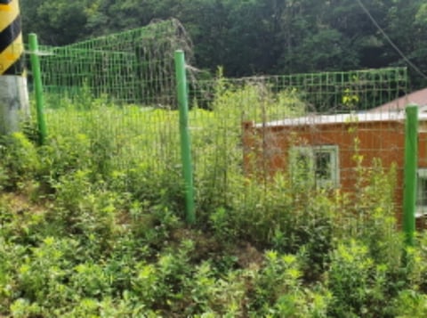 물건 사진 2