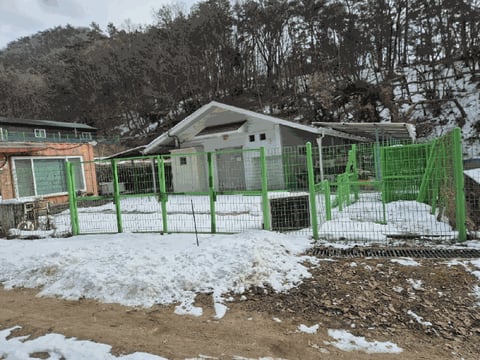 물건 사진 15