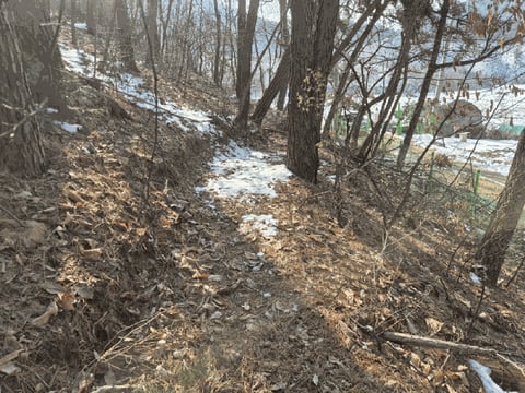 물건 사진 16