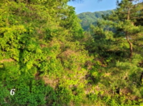 물건 사진 11