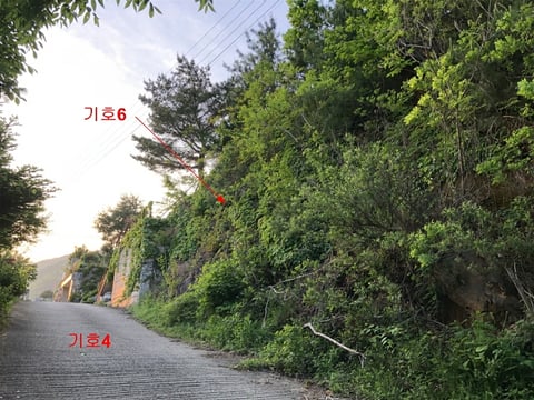 물건 사진 29