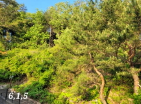 물건 사진 6