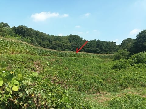 물건 사진 9