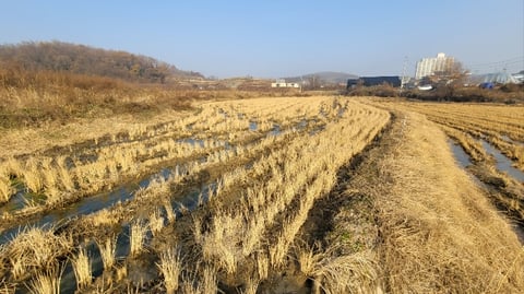 물건 사진 11