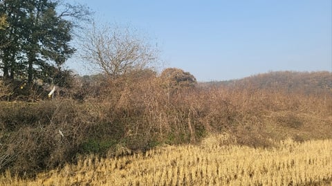 물건 사진 15