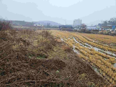 물건 사진 3