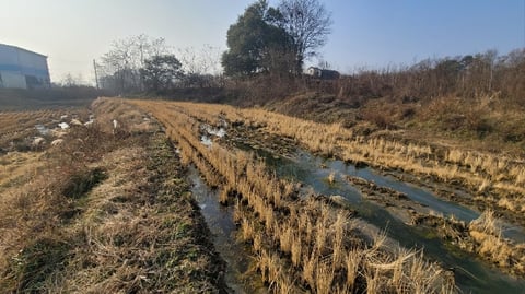 물건 사진 14