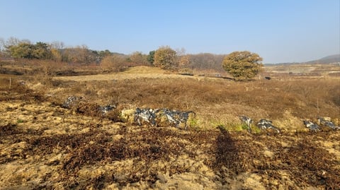물건 사진 16