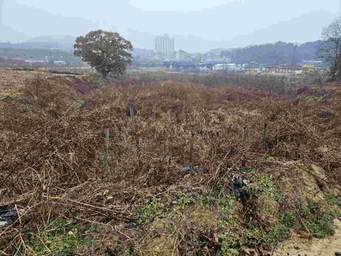 물건 사진 8