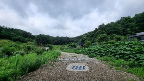 물건 사진 3