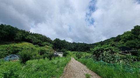물건 사진 4