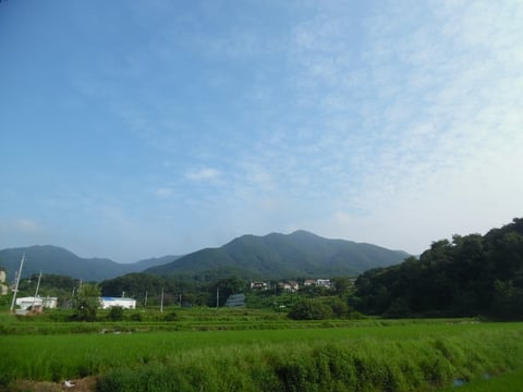 물건 사진 16