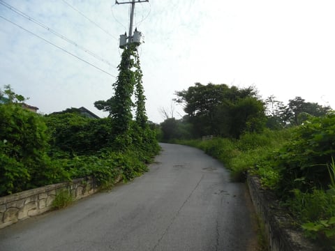 물건 사진 24
